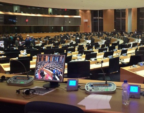 Politician Translators: Roles