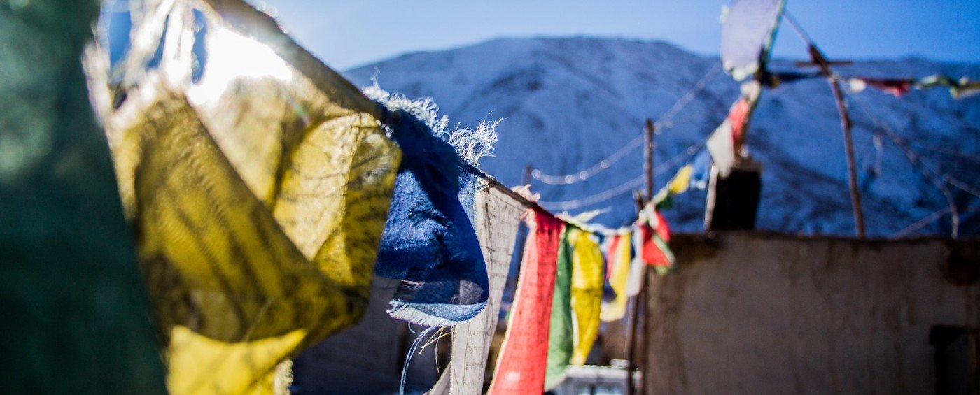 Discover Interesting Facts about Languages, Learn New Languages and Translations